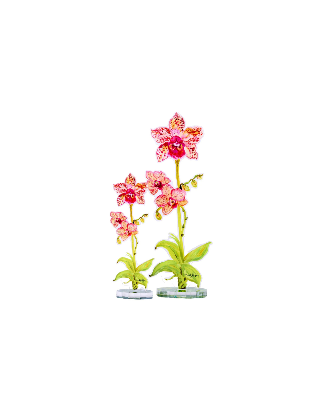 Leopard Orchid Acrylic Single Flower