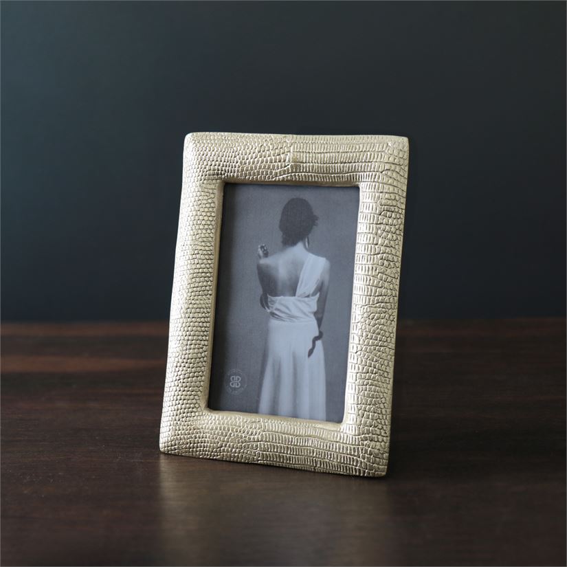 Beatriz Ball GIFTABLES Sierra Modern Python 4x6 Frame, Gold