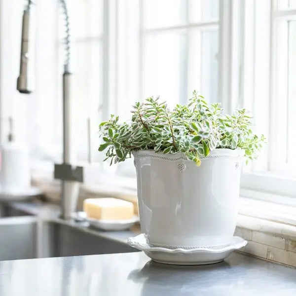 Juliska Berry & Thread 5.25" Planter w/ Saucer, Whitewash