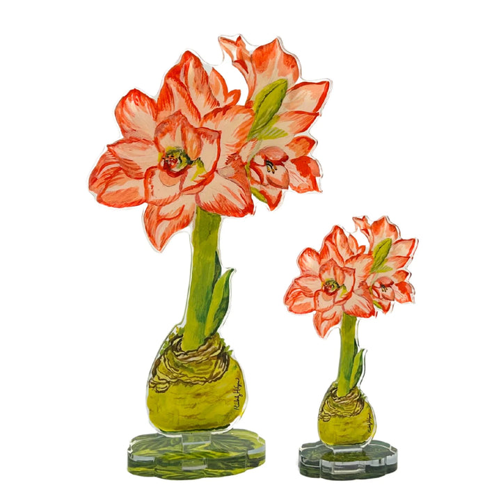 Kimberly Hodges Blossom Peacock Amaryllis Large Acrylic Single Flower