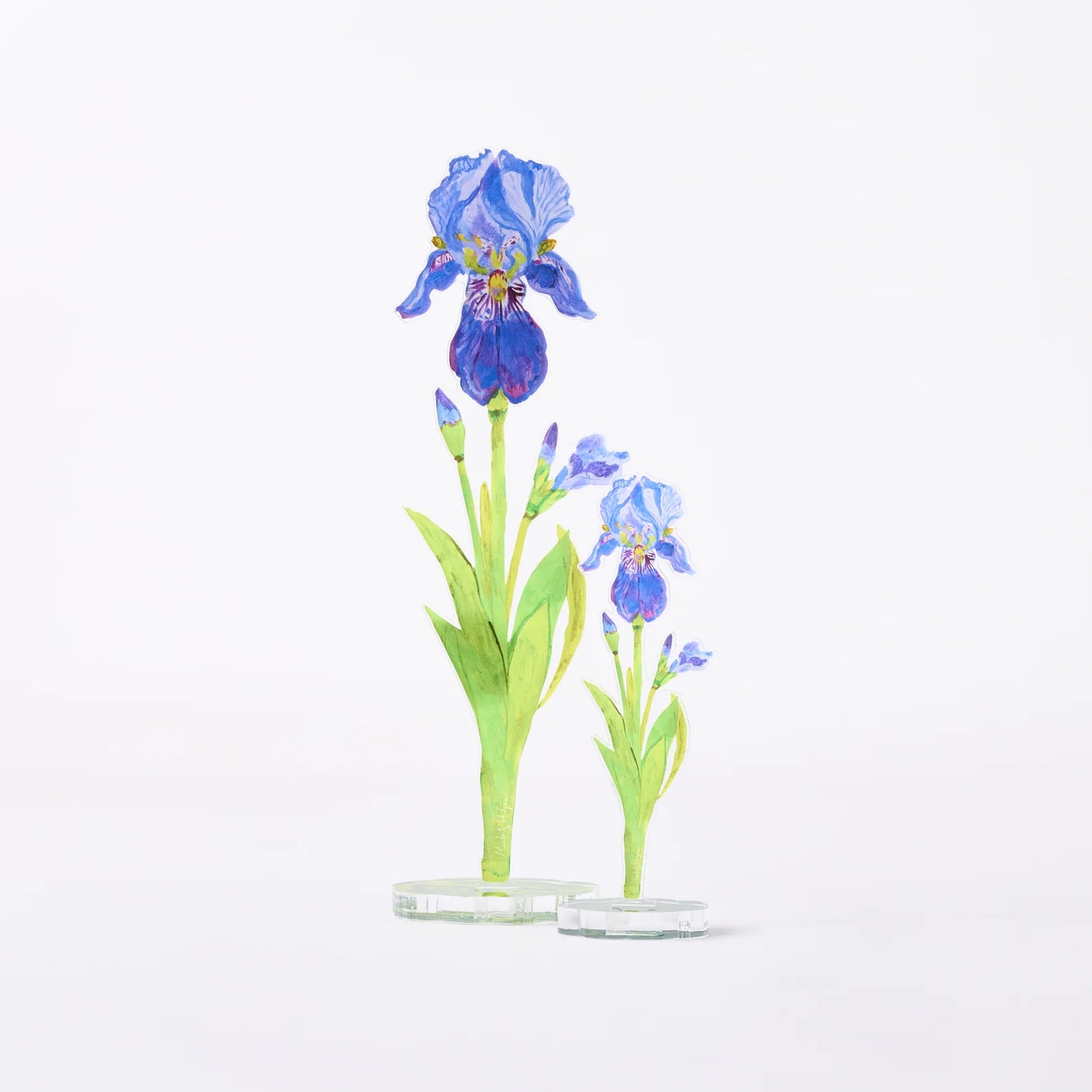 Iris Acrylic Single Flower