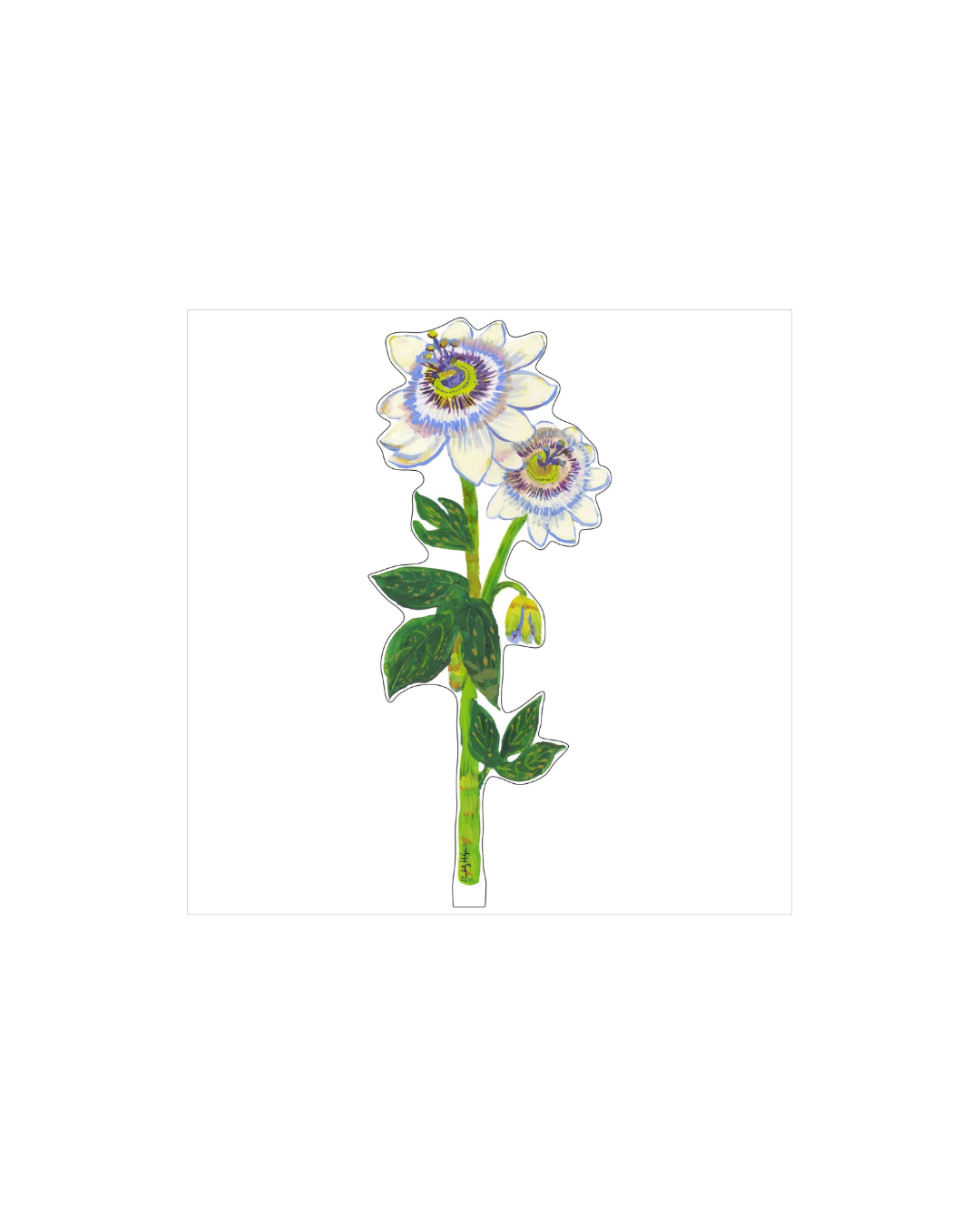 Passion Flower Acrylic Single Flower