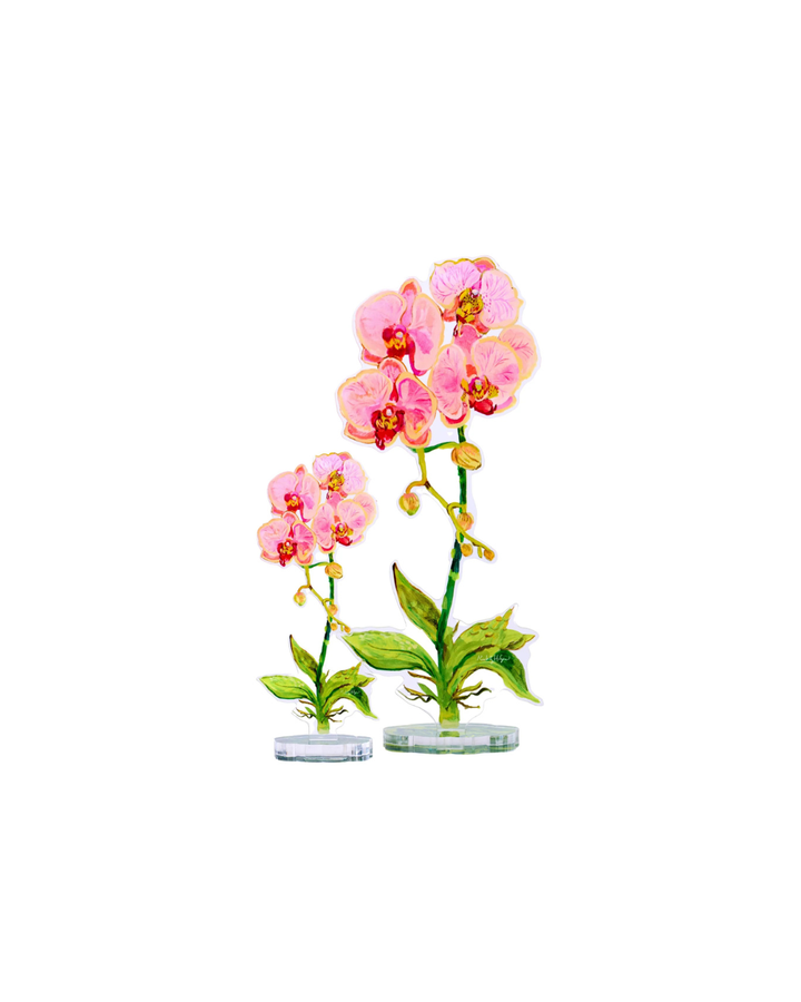 Coral Orchid Acrylic Single Flower