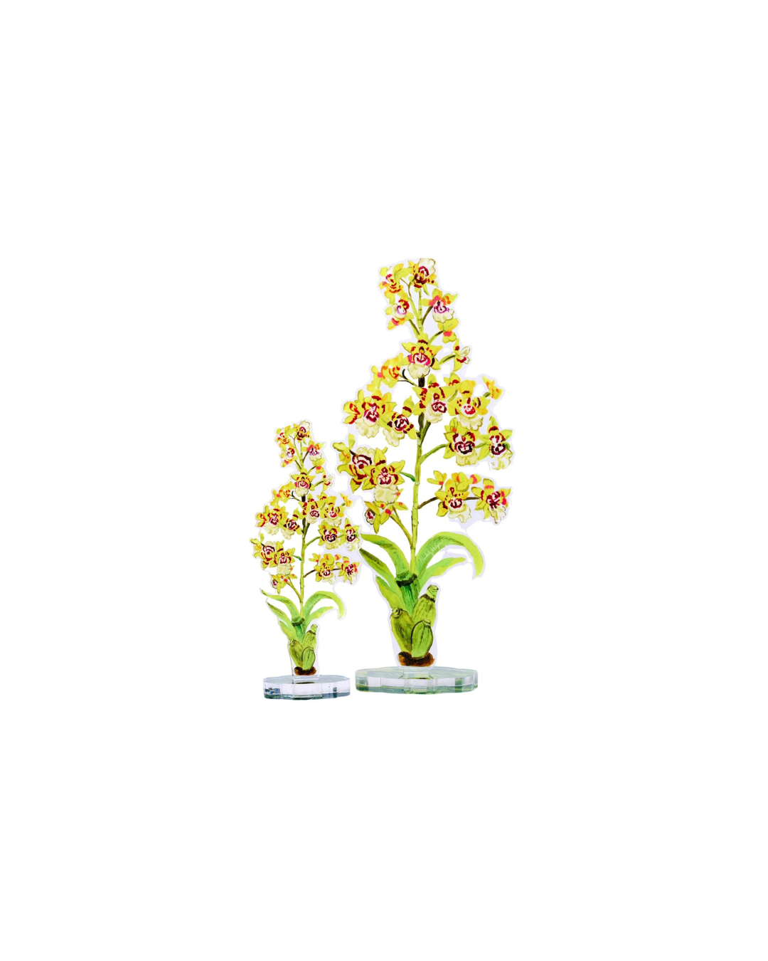 Yellow King Orchid Acrylic Single Flower