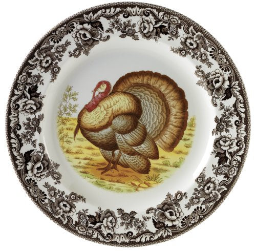 Spode Woodland