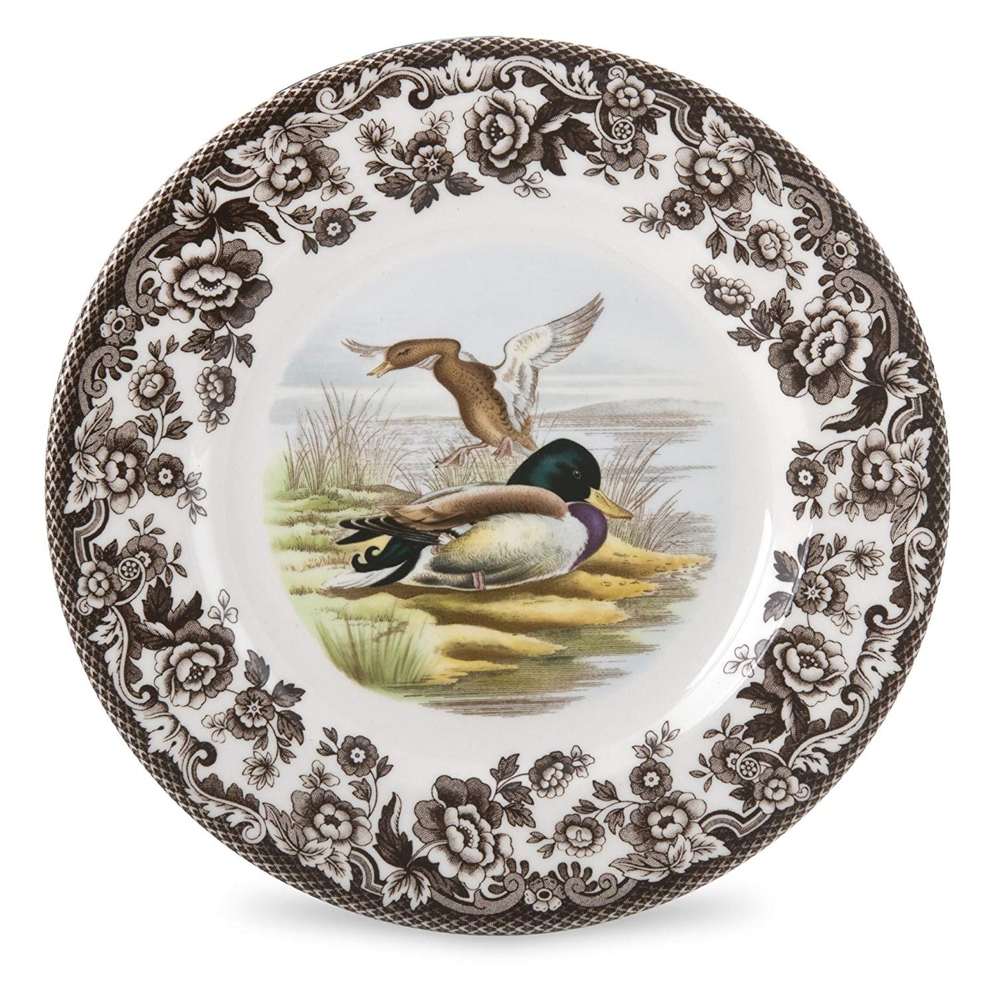 Spode Woodland